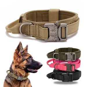 High Quality Heavy Duty Metal Buckle Pet Collar strong Dogs collar and leash set